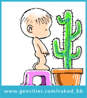ay  le cactus